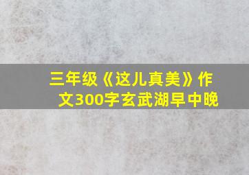 三年级《这儿真美》作文300字玄武湖早中晚