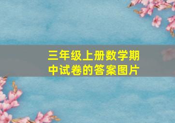 三年级上册数学期中试卷的答案图片