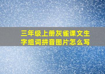 三年级上册灰雀课文生字组词拼音图片怎么写