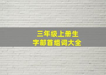 三年级上册生字部首组词大全