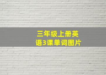 三年级上册英语3课单词图片