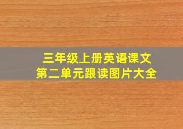 三年级上册英语课文第二单元跟读图片大全