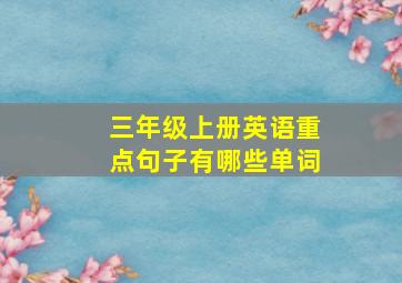 三年级上册英语重点句子有哪些单词