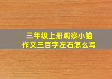 三年级上册观察小猫作文三百字左右怎么写