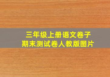 三年级上册语文卷子期末测试卷人教版图片