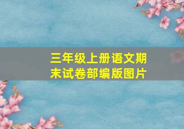 三年级上册语文期末试卷部编版图片