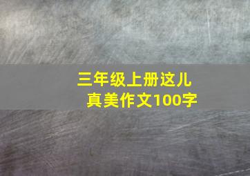 三年级上册这儿真美作文100字