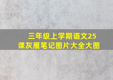 三年级上学期语文25课灰雁笔记图片大全大图