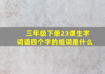 三年级下册23课生字词语四个字的组词是什么