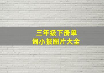 三年级下册单词小报图片大全