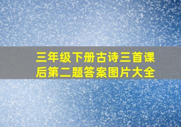 三年级下册古诗三首课后第二题答案图片大全