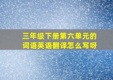 三年级下册第六单元的词语英语翻译怎么写呀