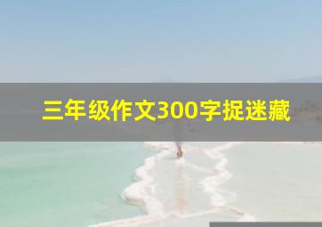 三年级作文300字捉迷藏