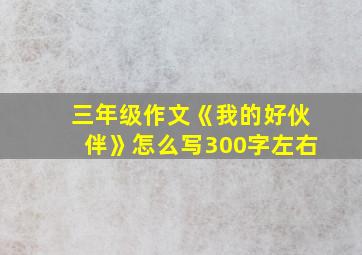 三年级作文《我的好伙伴》怎么写300字左右