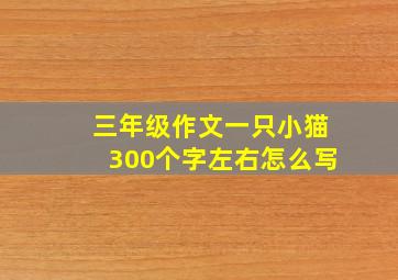 三年级作文一只小猫300个字左右怎么写