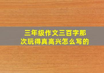 三年级作文三百字那次玩得真高兴怎么写的