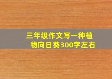 三年级作文写一种植物向日葵300字左右