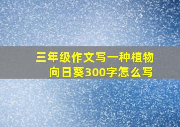 三年级作文写一种植物向日葵300字怎么写