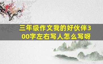 三年级作文我的好伙伴300字左右写人怎么写呀