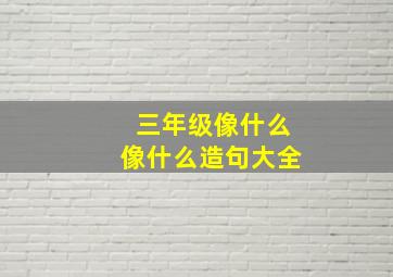 三年级像什么像什么造句大全