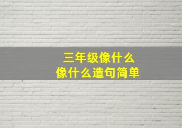 三年级像什么像什么造句简单