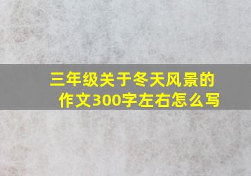 三年级关于冬天风景的作文300字左右怎么写