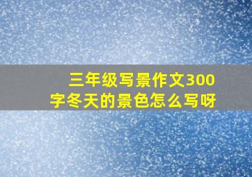 三年级写景作文300字冬天的景色怎么写呀