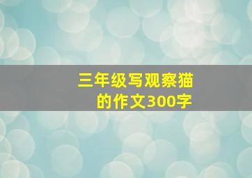 三年级写观察猫的作文300字