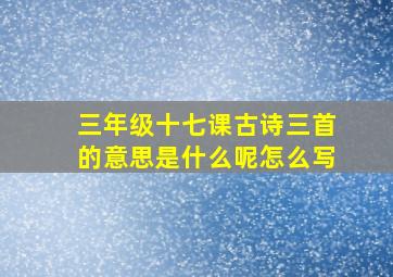 三年级十七课古诗三首的意思是什么呢怎么写