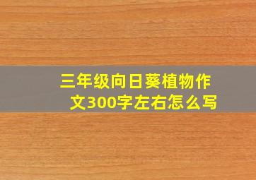 三年级向日葵植物作文300字左右怎么写