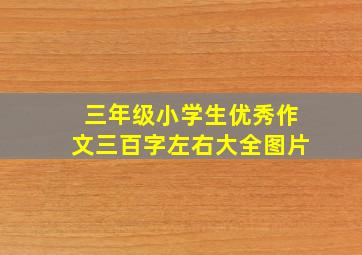 三年级小学生优秀作文三百字左右大全图片