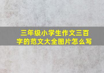 三年级小学生作文三百字的范文大全图片怎么写