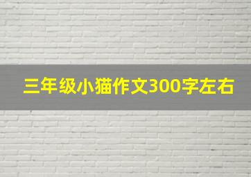 三年级小猫作文300字左右