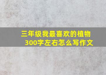 三年级我最喜欢的植物300字左右怎么写作文