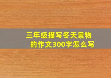 三年级描写冬天景物的作文300字怎么写