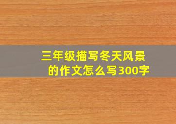 三年级描写冬天风景的作文怎么写300字