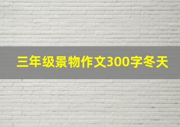 三年级景物作文300字冬天