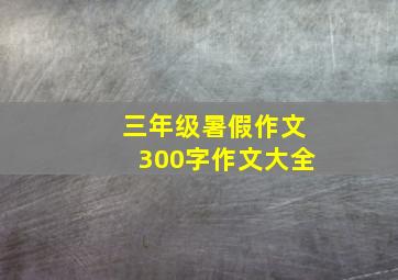 三年级暑假作文300字作文大全