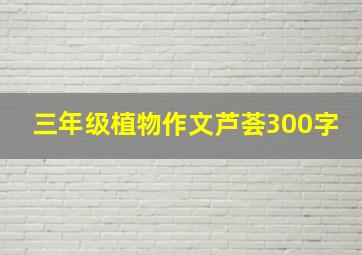 三年级植物作文芦荟300字