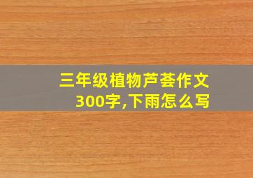 三年级植物芦荟作文300字,下雨怎么写