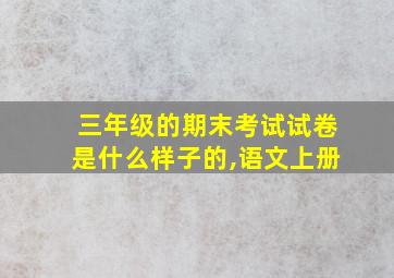 三年级的期末考试试卷是什么样子的,语文上册