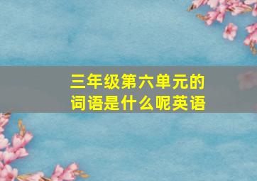 三年级第六单元的词语是什么呢英语