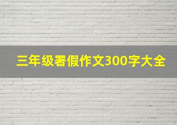 三年级署假作文300字大全