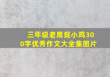 三年级老鹰捉小鸡300字优秀作文大全集图片