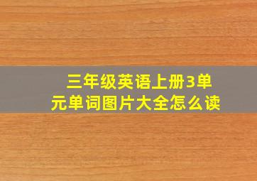 三年级英语上册3单元单词图片大全怎么读