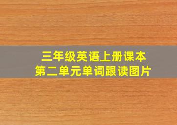 三年级英语上册课本第二单元单词跟读图片