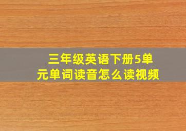 三年级英语下册5单元单词读音怎么读视频