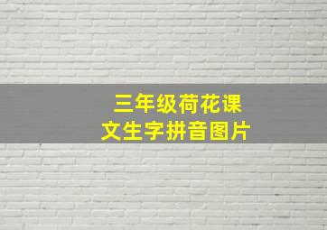 三年级荷花课文生字拼音图片