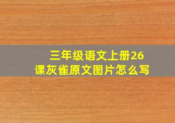 三年级语文上册26课灰雀原文图片怎么写