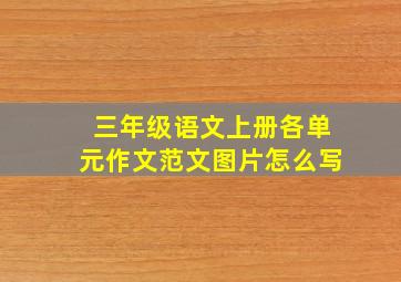 三年级语文上册各单元作文范文图片怎么写